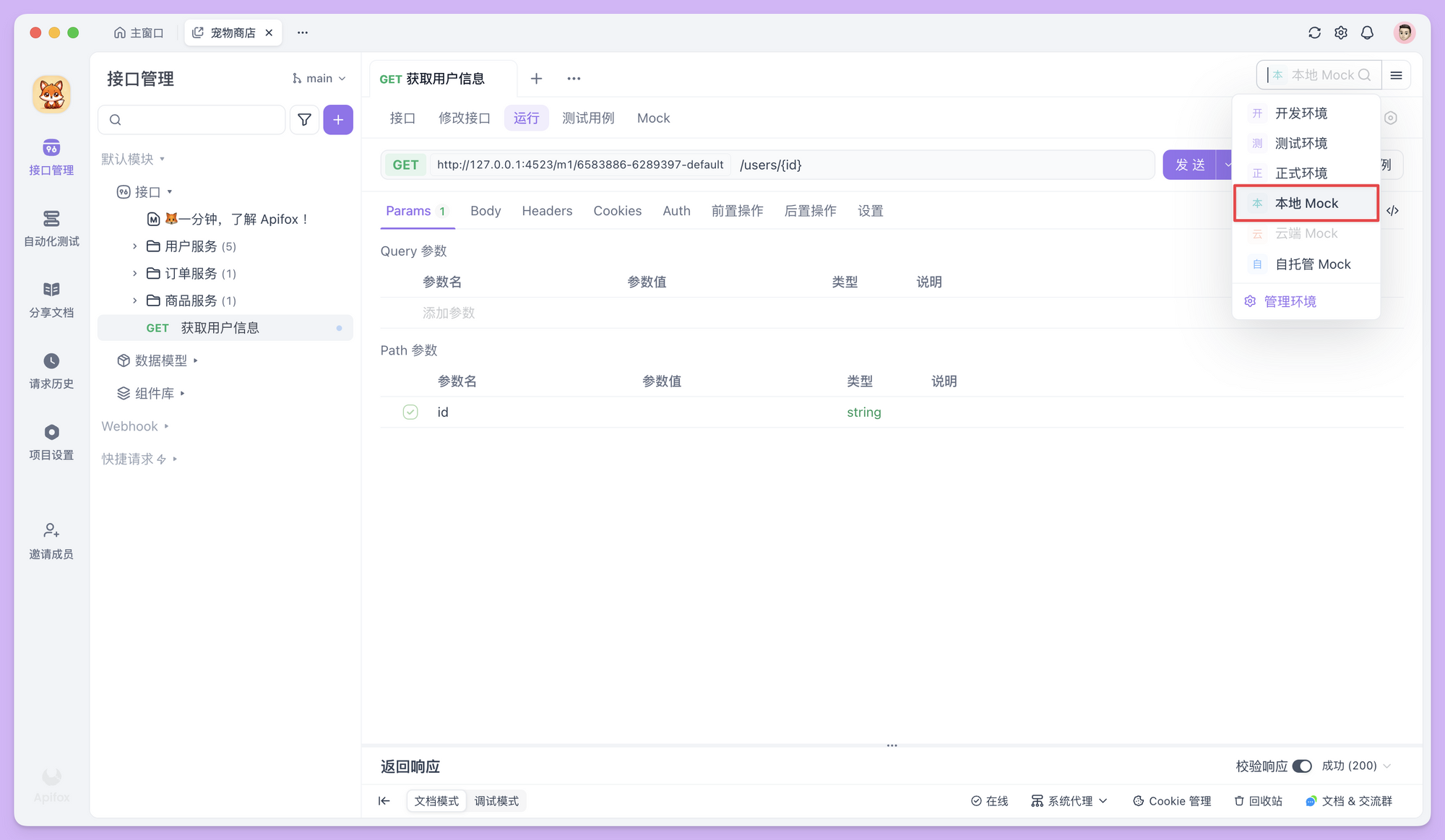 使用 Mock 功能测试